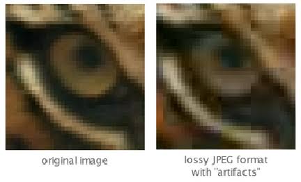 Tiger eye comparison showing the original image beside a lossy JPEG version with visible artifacts